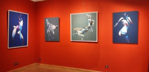 expo-galerie